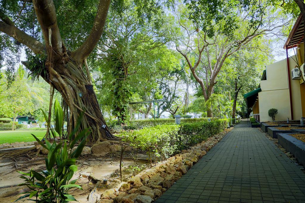 Miridiya Lake Resort Anuradhapura Buitenkant foto