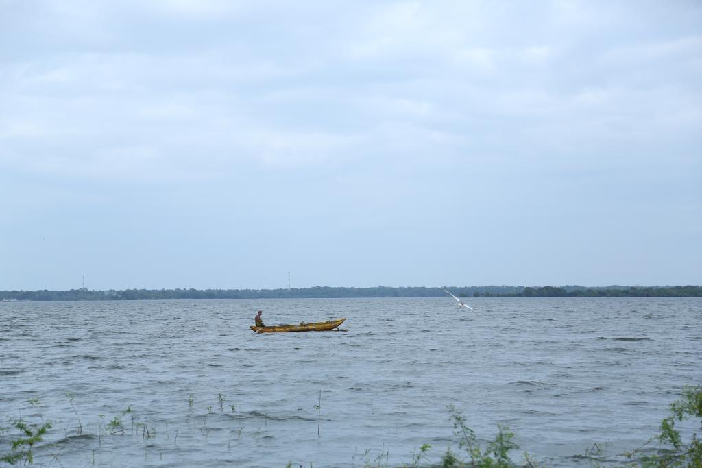 Miridiya Lake Resort Anuradhapura Buitenkant foto